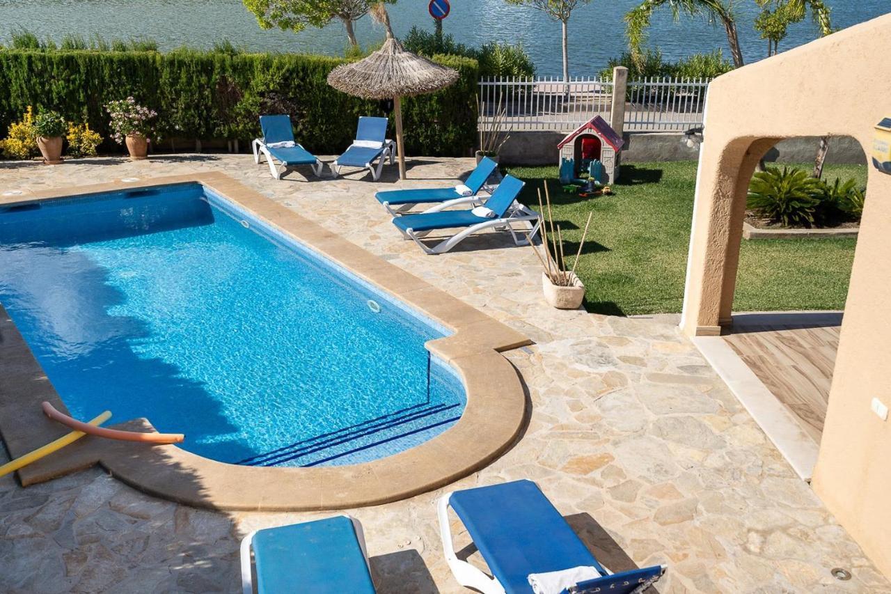 Iris * Alcudia (Mallorca)